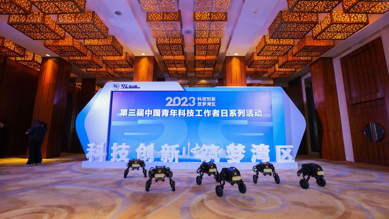 上海数据服务公司项目案例解析：揭秘高效数据处理之道